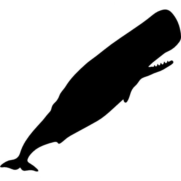 Sperm whale silhouette Icons | Free Download