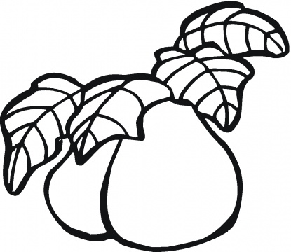 Pears coloring pages | Super Coloring