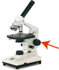 Microscope Parts (images) flashcards