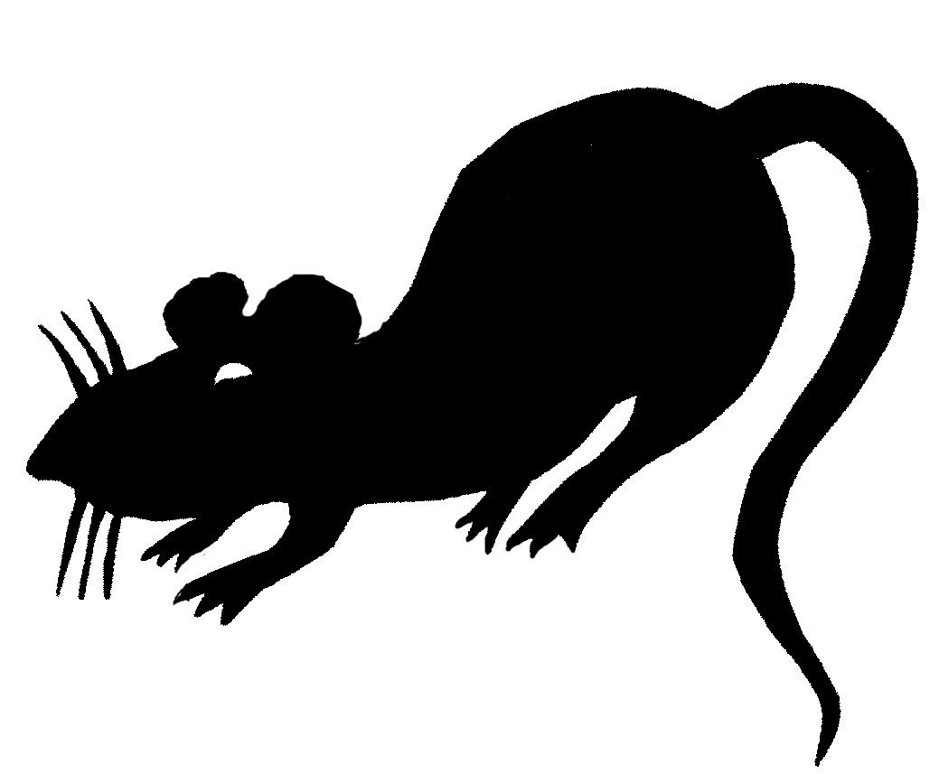 dk Art and Stuff: Rats and Bats