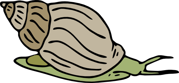 Green Snail Clip Art - vector clip art online ...