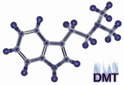 Erowid DMT Vaults : Extraction : QT's DMT Extraction Guide