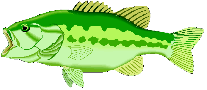 Fish Pond Clipart