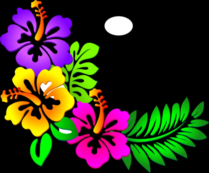 luau clip art borders free free clipart images 3 clipartix30 PNG ...