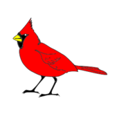 Cardinal Vector - Download 58 Vectors (Page 1)