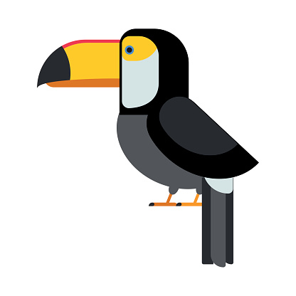 Toco Toucan Clip Art, Vector Images & Illustrations