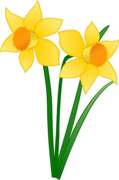 Large Daffodil Wall Stencil | Individual Flower Wall Stencils ...