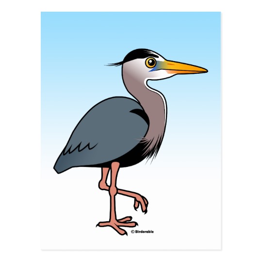 Cartoon Great Blue Heron Postcard | Zazzle