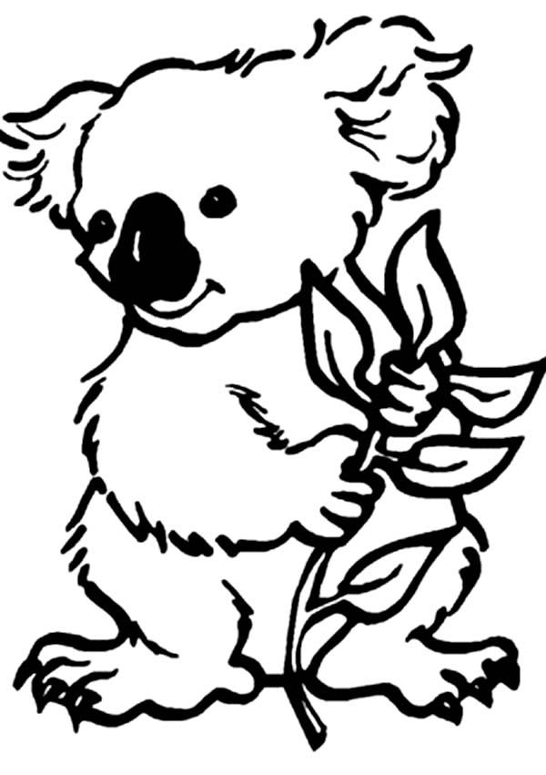 Baby koala bear clipart outline