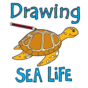 Drawing Sea Creatures - Android Apps on Google Play