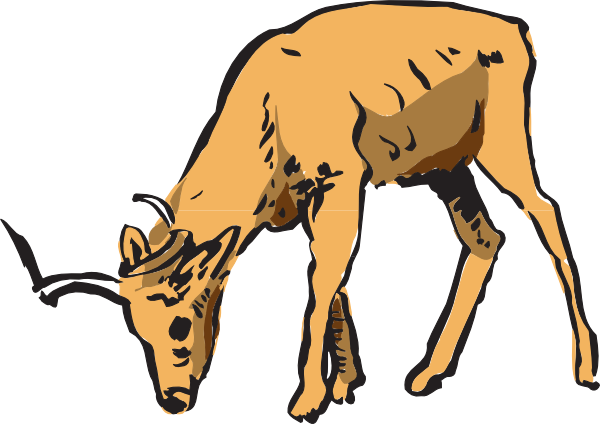 Antelope Eating Clip Art - vector clip art online ...