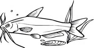 Catfish Coloring Pages