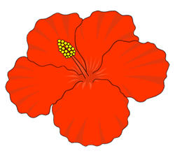 Hibiscus flower cartoon