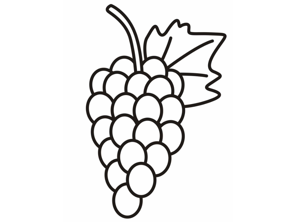 Drawings Of Grape Colouring Pages Coloring Pages For Adults 8 ...