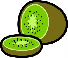 Kiwi vector art Free vector for free download about (18) Free ...