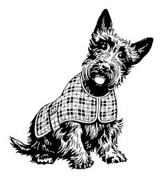 Scottie Dogs: Clip Art. Graphics, Line Drawings | Scotti…