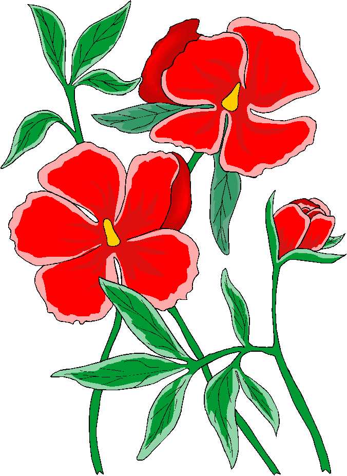 Free clipart pictures of flowers