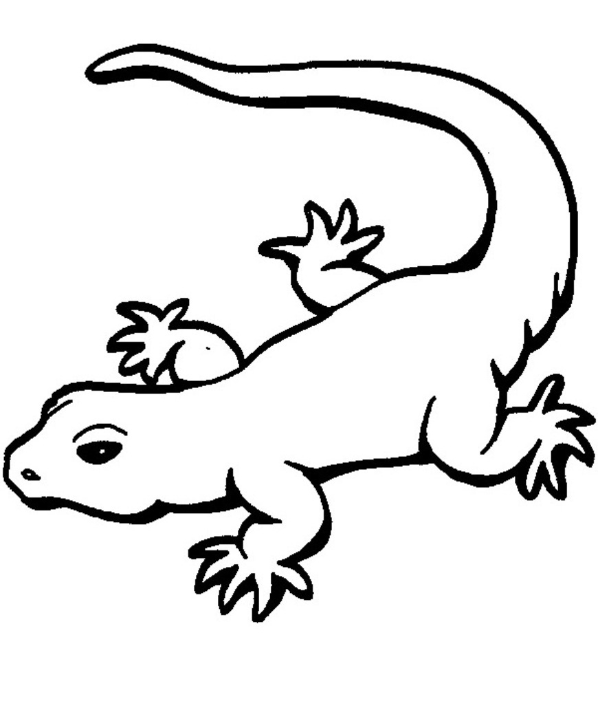 Easy Gecko Drawing - ClipArt Best