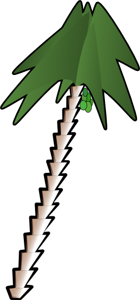 Leaning Palm Tree clip art Free Vector