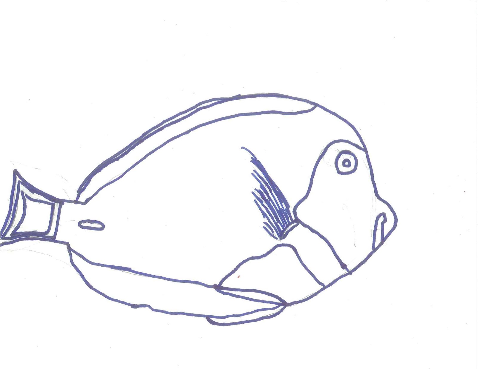 Fish Line Drawings - ClipArt Best