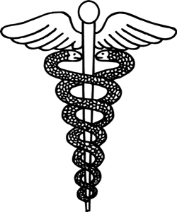 The caduceus ?;from Greek "herald's staff" is the staff carried ...