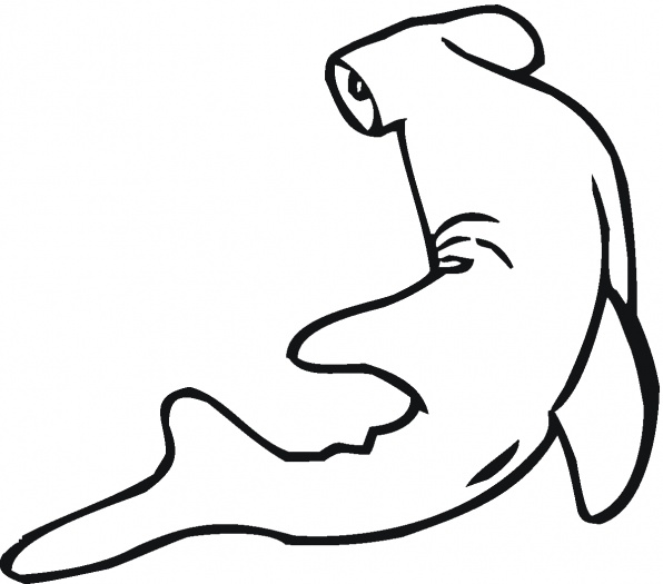 Hammerhead Sharks coloring page | Super Coloring