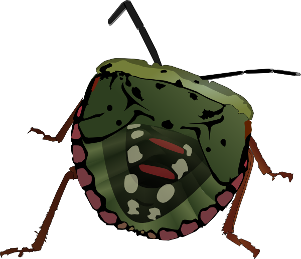 Stink Bug clip art - vector clip art online, royalty free & public ...