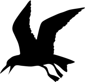 Seagull Clipart Image - Black and white silhouette of a seagull in ...