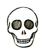 Skull Drawing: Learn How to Draw 9 Different Day of the Dead Art ...