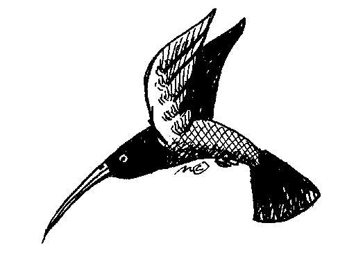 Hummingbird Clip Art