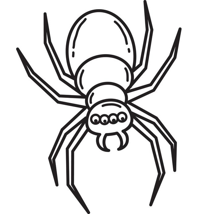 Spider Shape Template - 55+ Crafts & Colouring Pages | Free ...