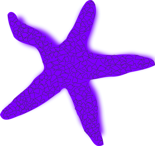 Starfish clipart transparent – Gclipart.com