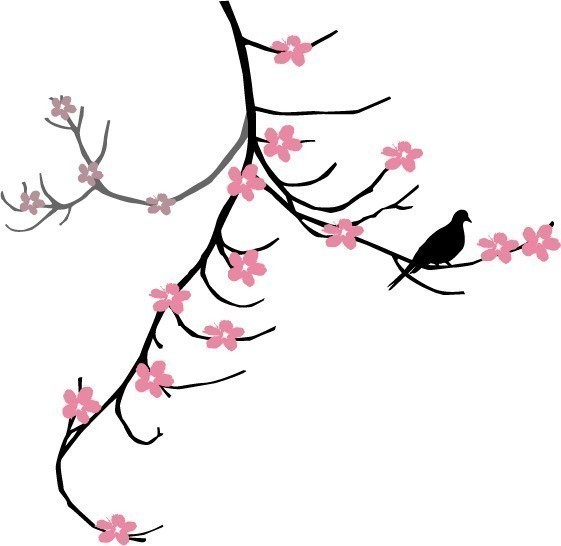 Cherry Blossom Branch and Dove at Rest | WilsonGraphics