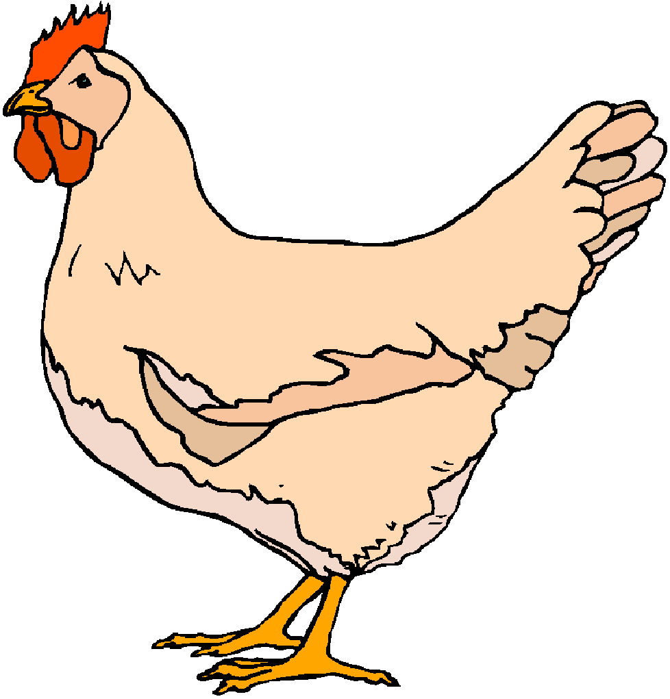 Clip Art Chickens By Rajesh