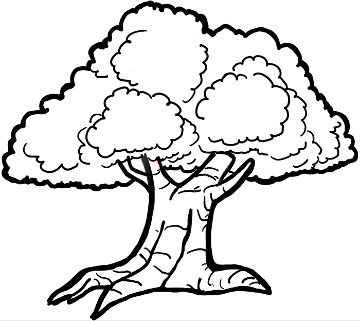 How to Draw Cartoon Trees with Easy Step by Step Drawing Tutorial ...