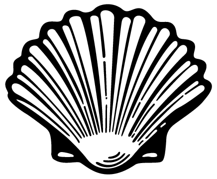 Conch Shell Clip Art