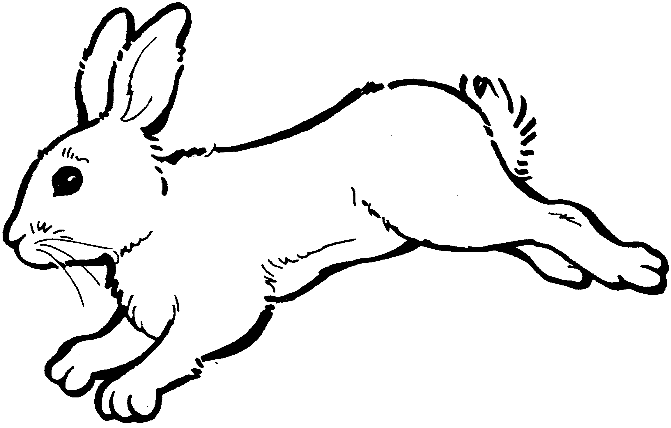 Rabbit running clipart