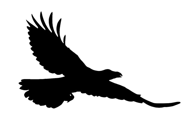 Flying Raven Silhouette - ClipArt Best
