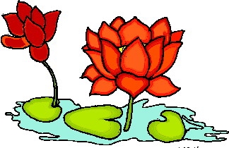 Water Lily Flower Clipart