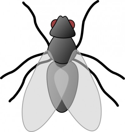 Clip Art Images Of Bugs In Plants Clipart