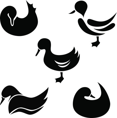 Duck Clip Art, Vector Images & Illustrations