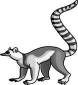 Search Results - Search Results for Lemur Pictures - Graphics ...