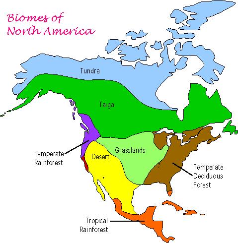 Geography Blog: Biome Map