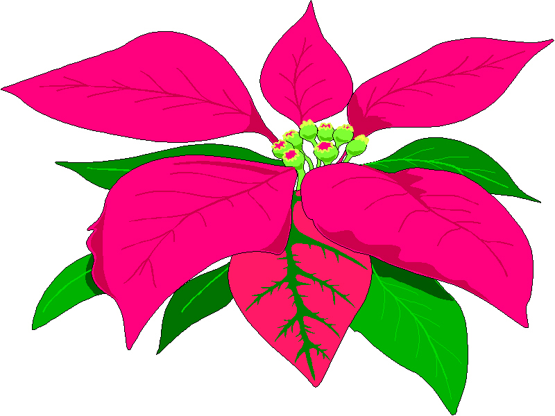 Poinsettia Art | Free Download Clip Art | Free Clip Art | on ...