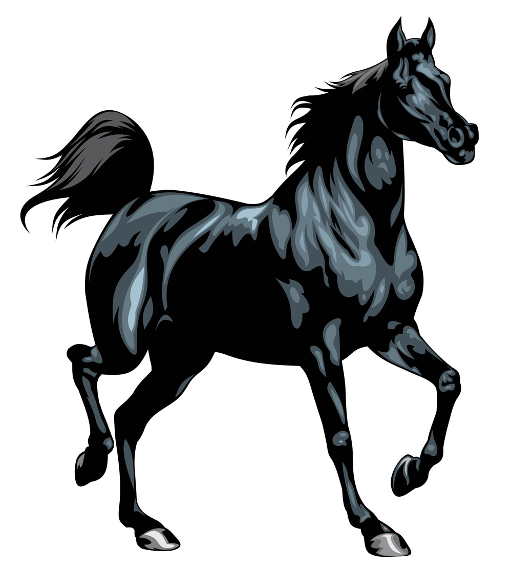 Horse 02 vector Free Vector / 4Vector