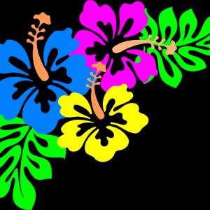 Free Hawaiian Flower Clip Art Borders Illustration | ClipArTidy