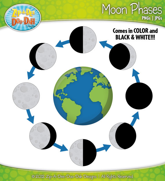 Moon phases clipart