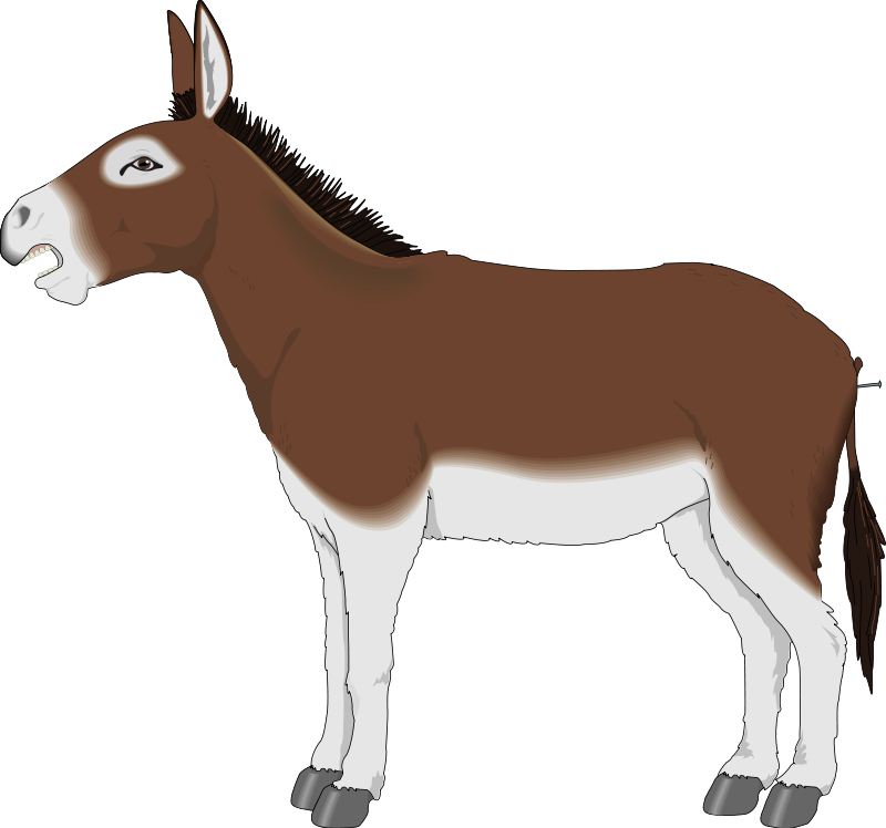 Donkey Images Free | Free Download Clip Art | Free Clip Art | on ...