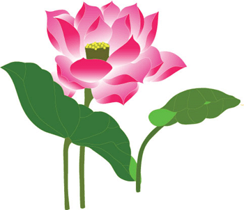 AI vector beautiful lotus - Vector