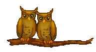 Owl Clip Art - Free Owl Clip Art - Two Owls Sitting on a Tree ...